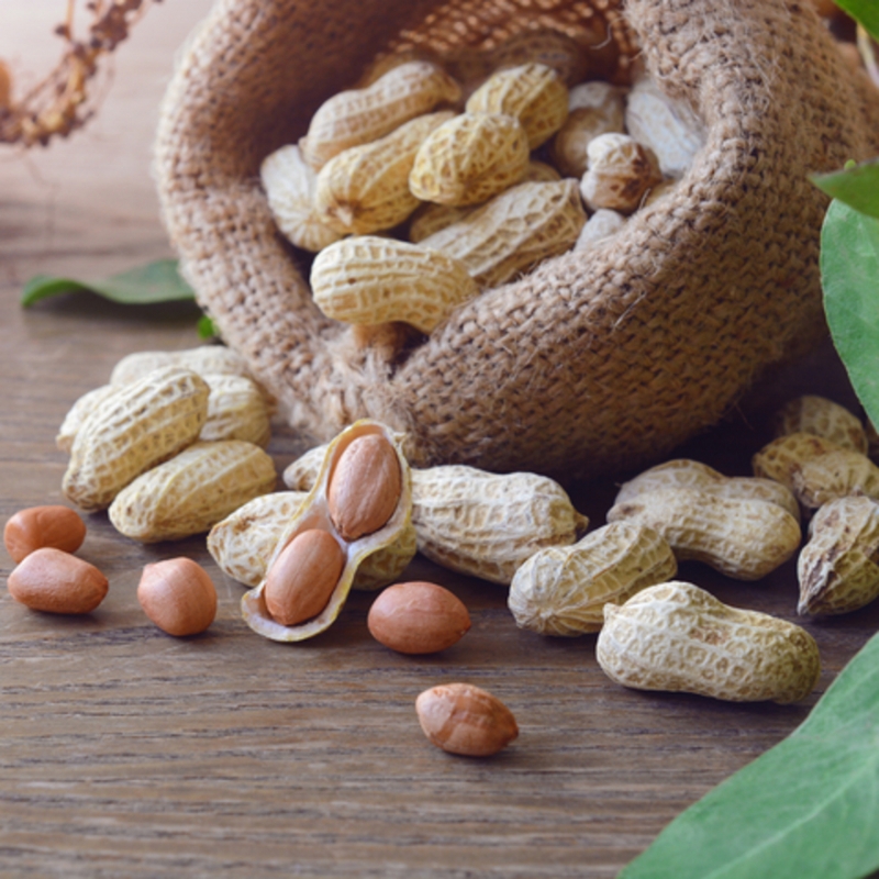 How Peanuts Help You Stay Healthy